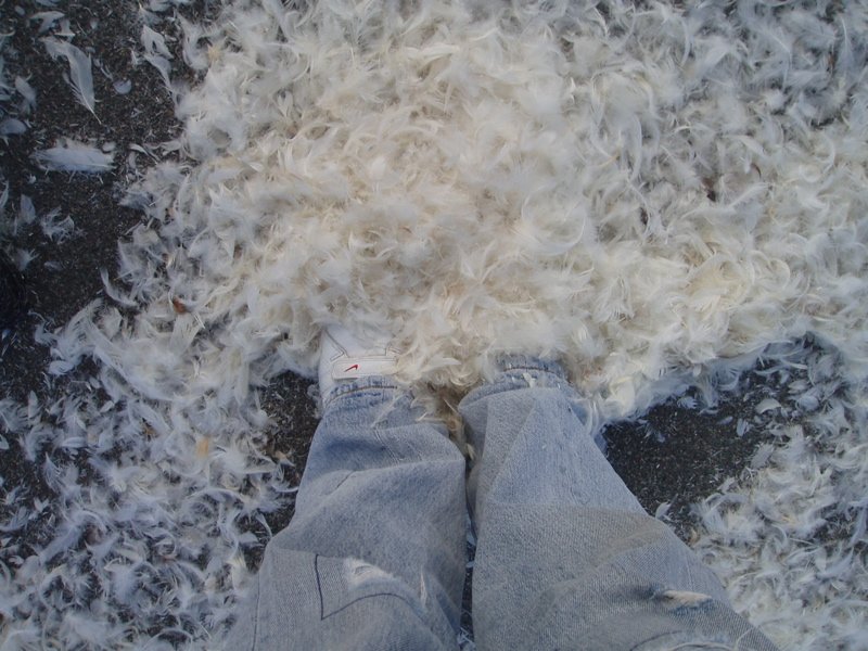 OutOfSpaceVideodreh-75