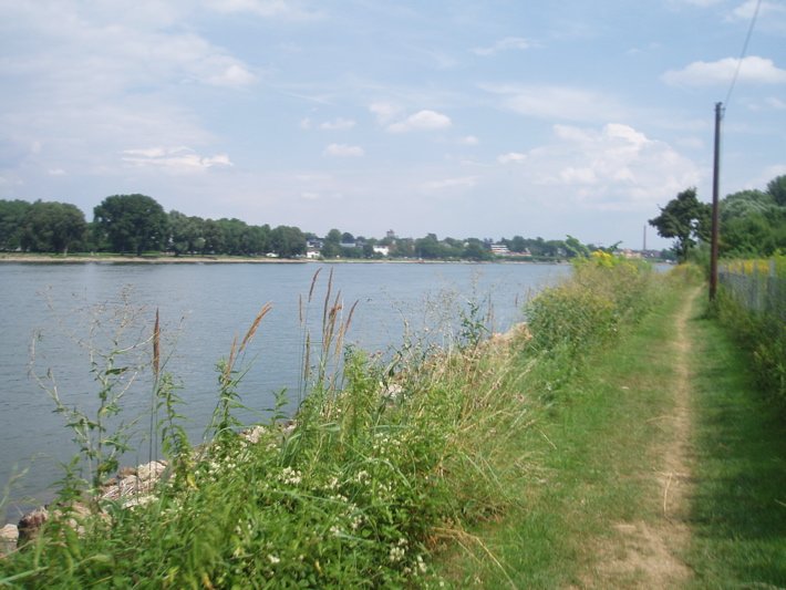 ThueringerWE-088