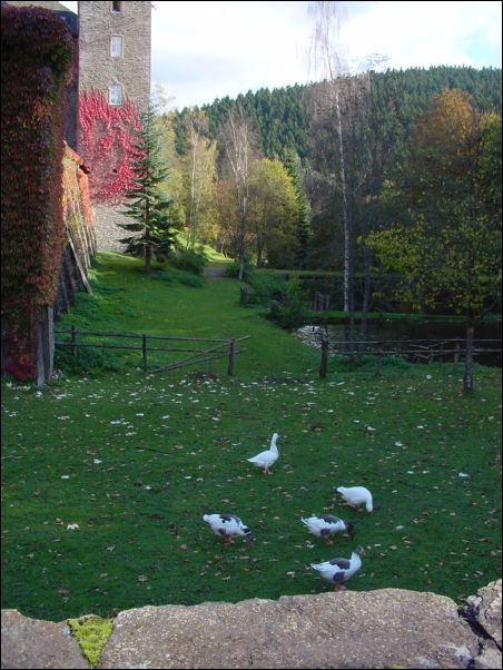 DSC00035