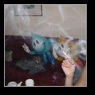 [Click to enlarge image]